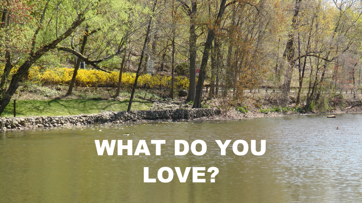 WHAT DO YOU LOVE?